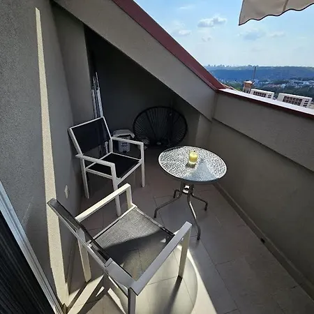 Apartment Dedinje *