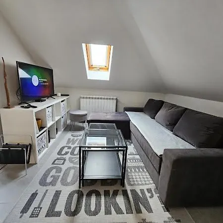 Dedinje Apartment