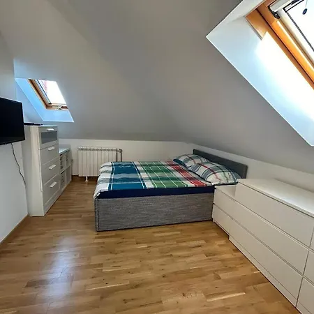 Apartment Dedinje *